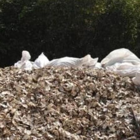 Mangrove Beach Sanyang Exterior foto