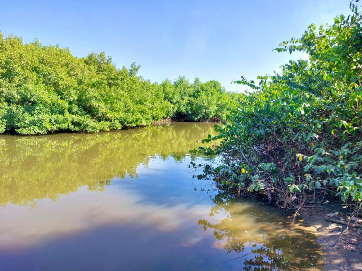 Mangrove Beach Sanyang Exterior foto