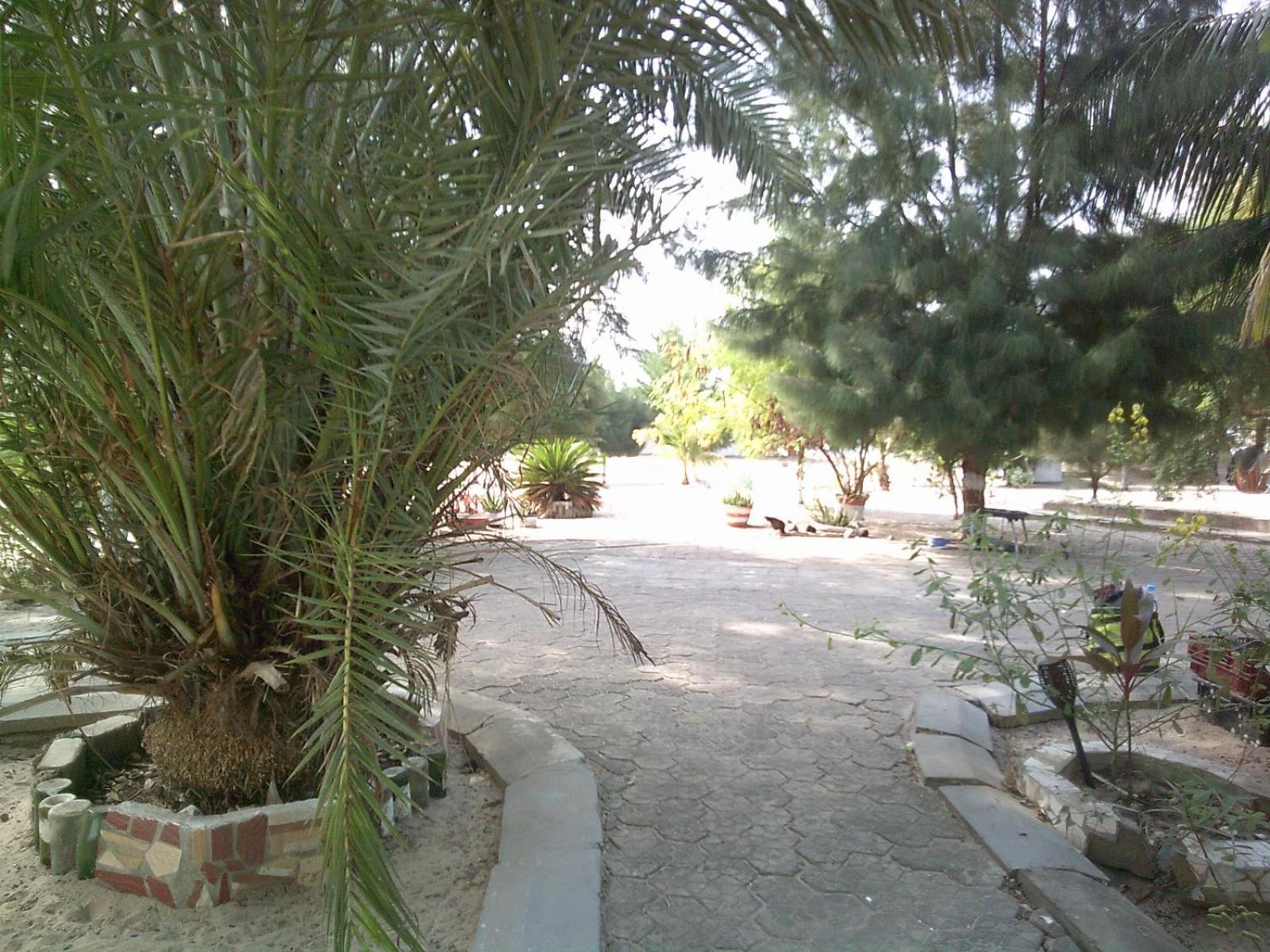 Mangrove Beach Sanyang Exterior foto
