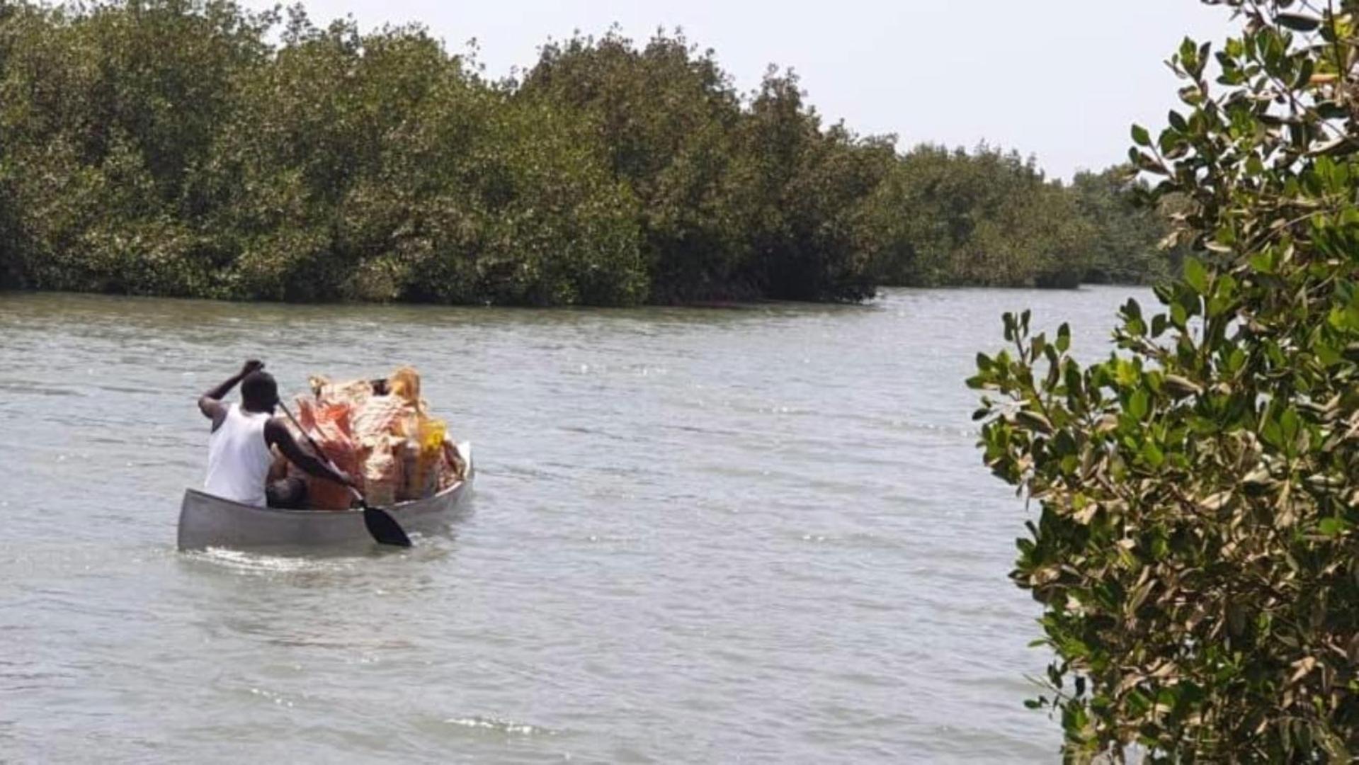 Mangrove Beach Sanyang Exterior foto